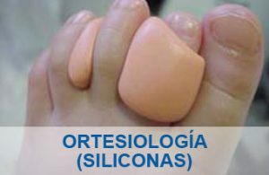 Ortesiolog�a
